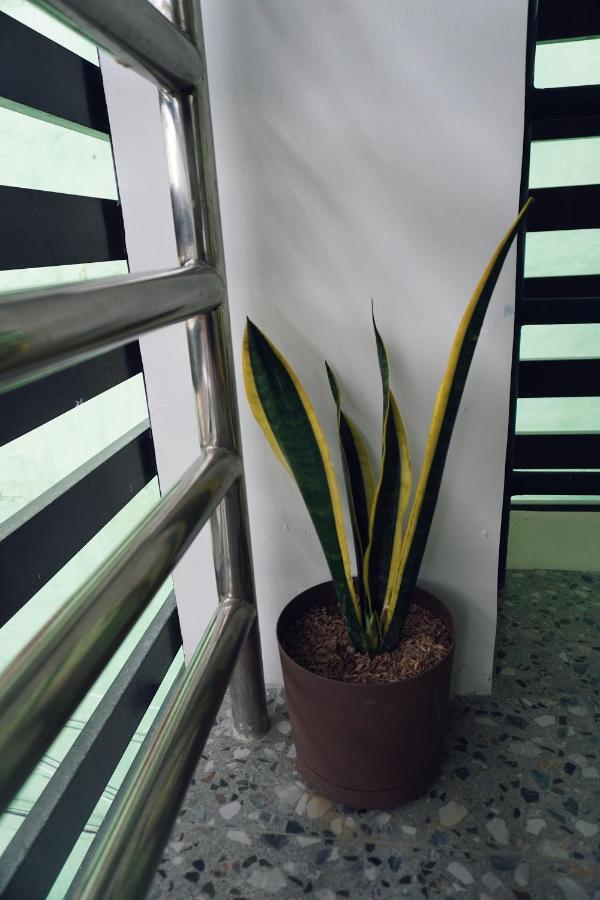 Cebu Backpackers Hostel Luaran gambar